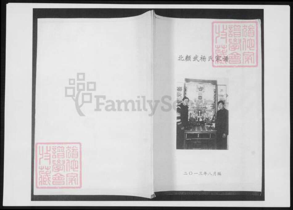 山东省青岛市即墨区杨氏族谱-北颜杨氏家谱.pdf电子版缩略图