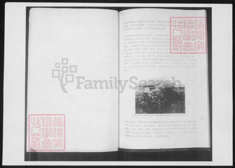 山东省青岛市即墨区杨氏族谱-北颜杨氏家谱.pdf电子版预览图4