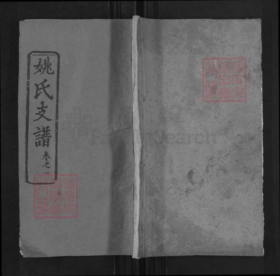 湖北省黄冈市姚氏清俭堂族谱-姚氏支谱.pdf电子版缩略图