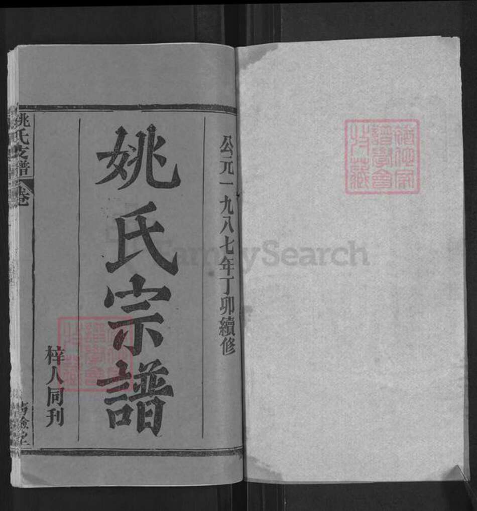 湖北省黄冈市姚氏清俭堂族谱-姚氏支谱.pdf电子版预览图1