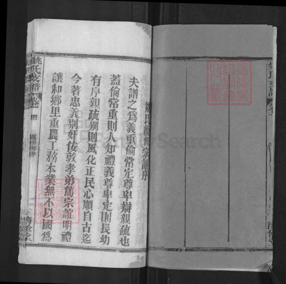 湖北省黄冈市姚氏清俭堂族谱-姚氏支谱.pdf电子版预览图2