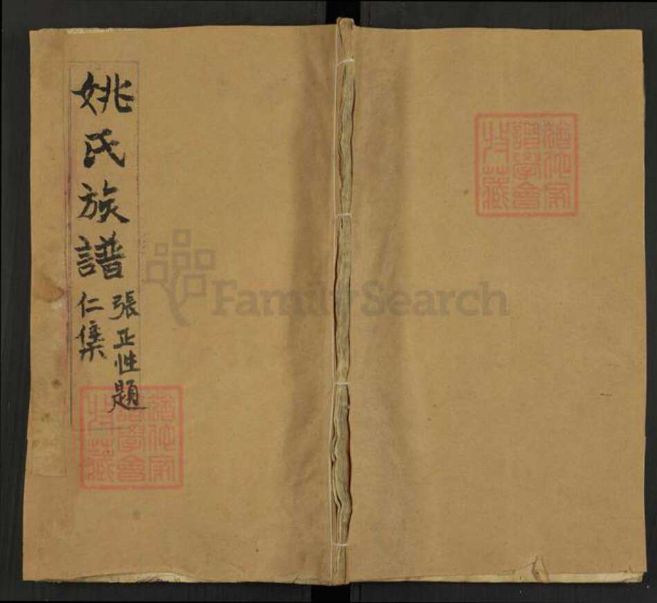 安徽省铜陵市枞阳县钱桥镇姚氏重华堂族谱-姚氏族谱.pdf电子版缩略图