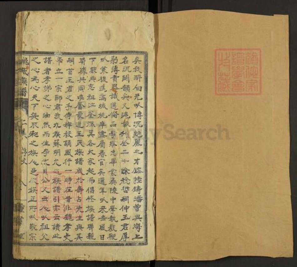 安徽省铜陵市枞阳县钱桥镇姚氏重华堂族谱-姚氏族谱.pdf电子版预览图1