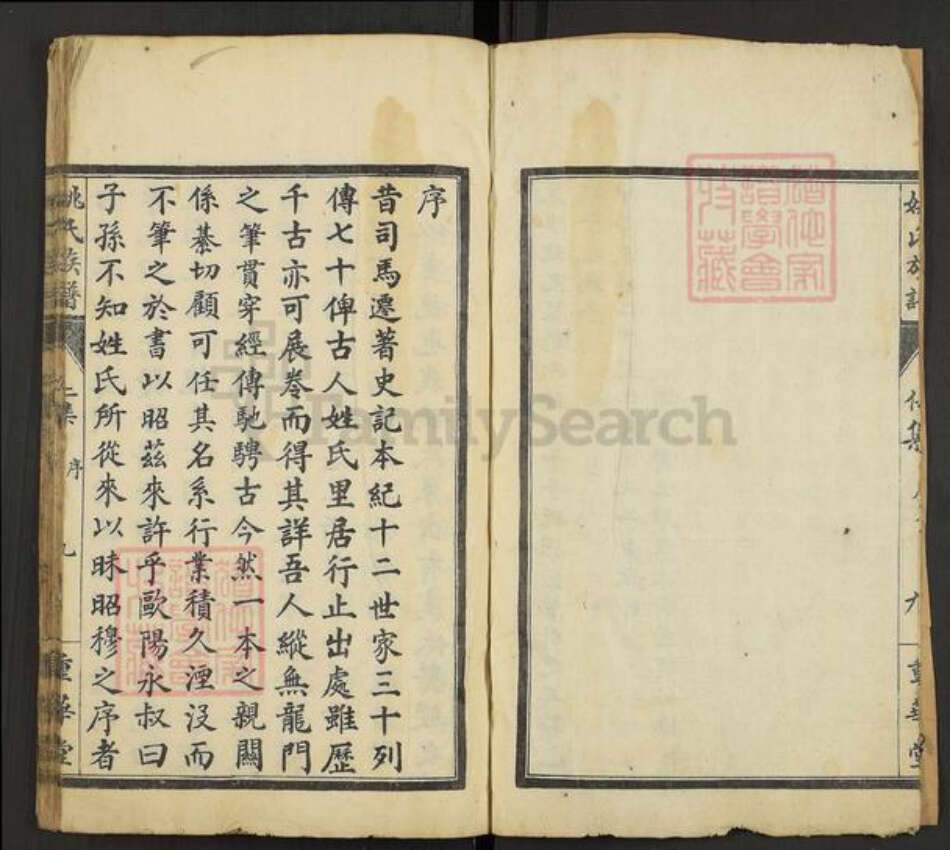 安徽省铜陵市枞阳县钱桥镇姚氏重华堂族谱-姚氏族谱.pdf电子版预览图3