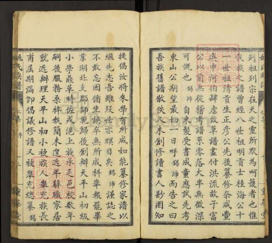 安徽省铜陵市枞阳县钱桥镇姚氏重华堂族谱-姚氏族谱.pdf电子版预览图4