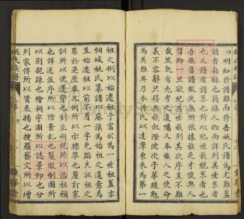 安徽省铜陵市枞阳县钱桥镇姚氏重华堂族谱-姚氏族谱.pdf电子版预览图5