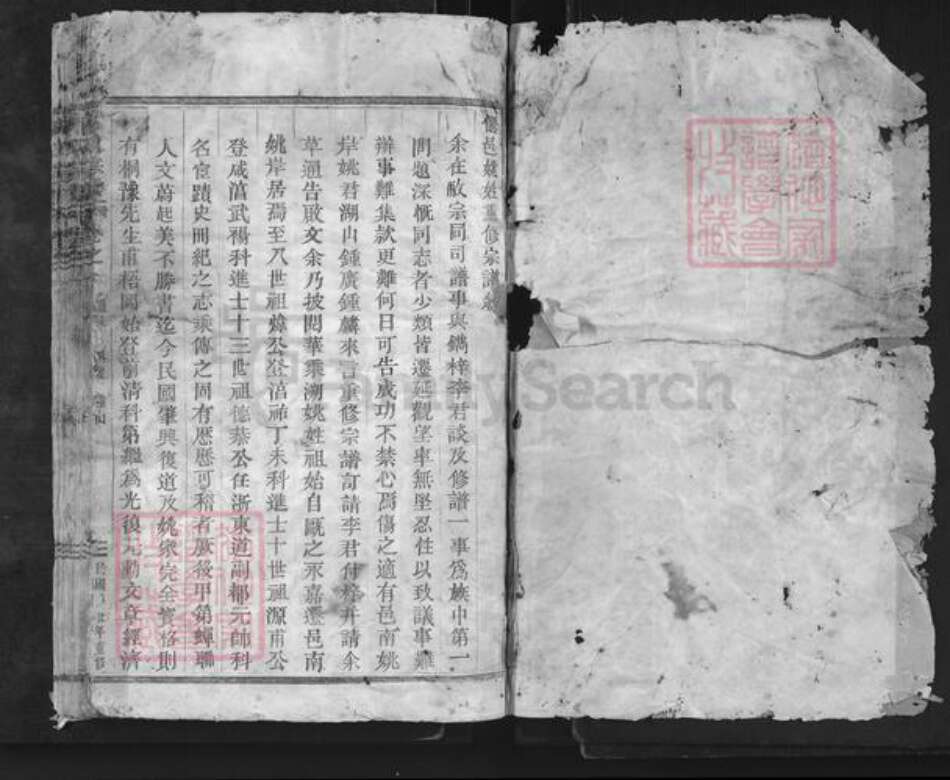 浙江省台州市仙居县上张乡姚氏族谱-姚氏宗谱.pdf电子版预览图1