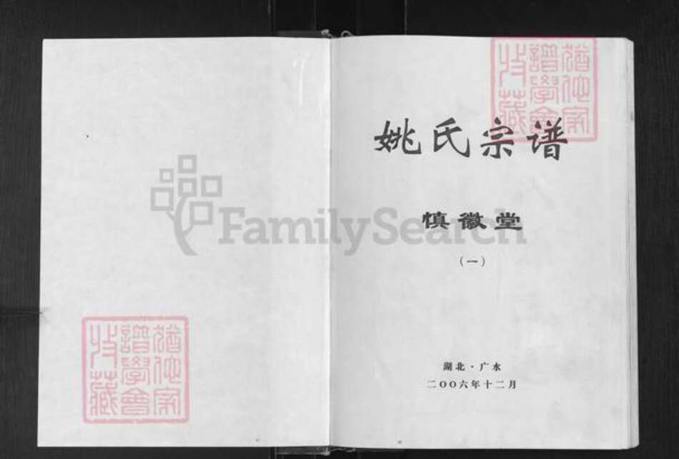 湖北省随州市广水市姚氏慎徽堂族谱-姚氏宗谱.pdf电子版预览图1