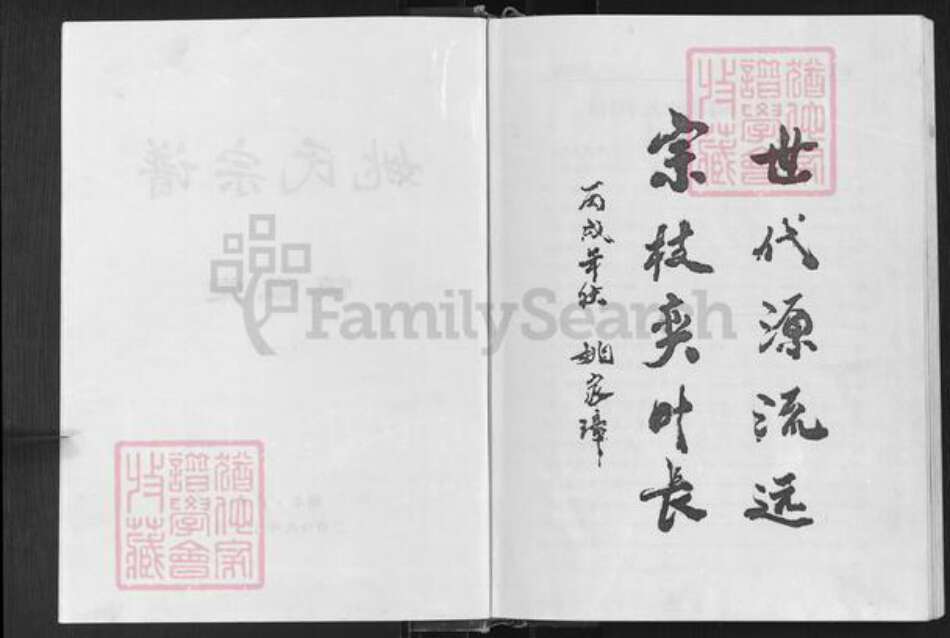 湖北省随州市广水市姚氏慎徽堂族谱-姚氏宗谱.pdf电子版预览图2