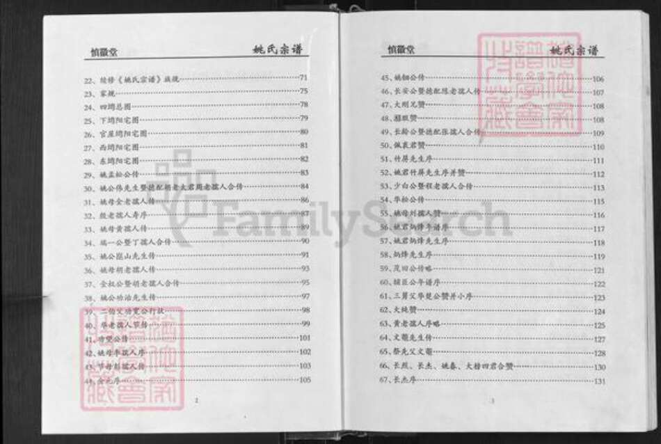 湖北省随州市广水市姚氏慎徽堂族谱-姚氏宗谱.pdf电子版预览图4