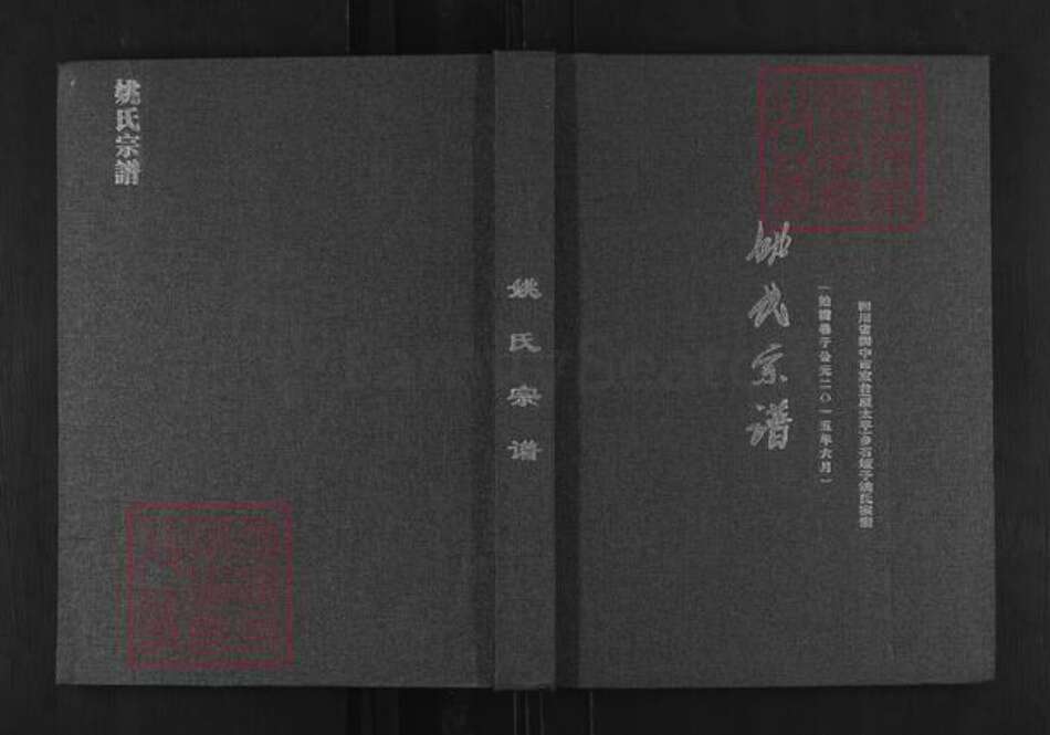 四川省南充市阆中县阆中姚氏族谱-姚氏宗谱.pdf电子版缩略图