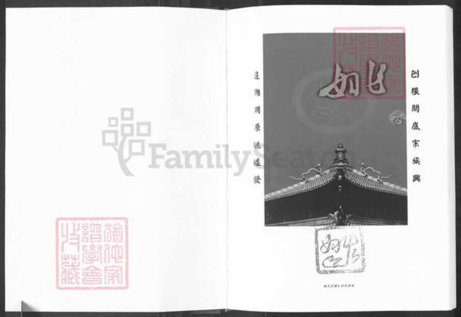 四川省南充市阆中县阆中姚氏族谱-姚氏宗谱.pdf电子版预览图1