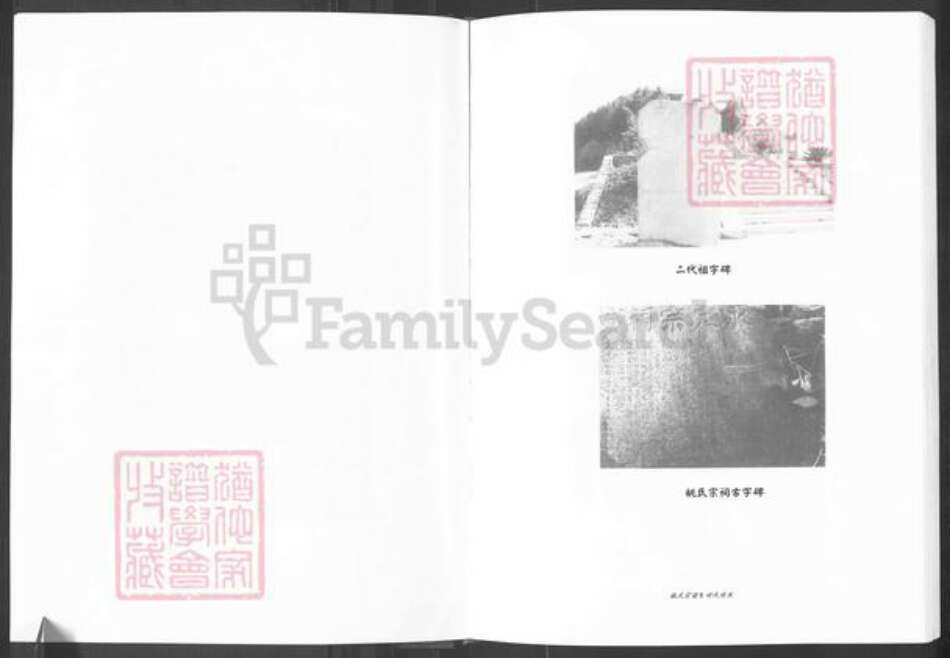 四川省南充市阆中县阆中姚氏族谱-姚氏宗谱.pdf电子版预览图5