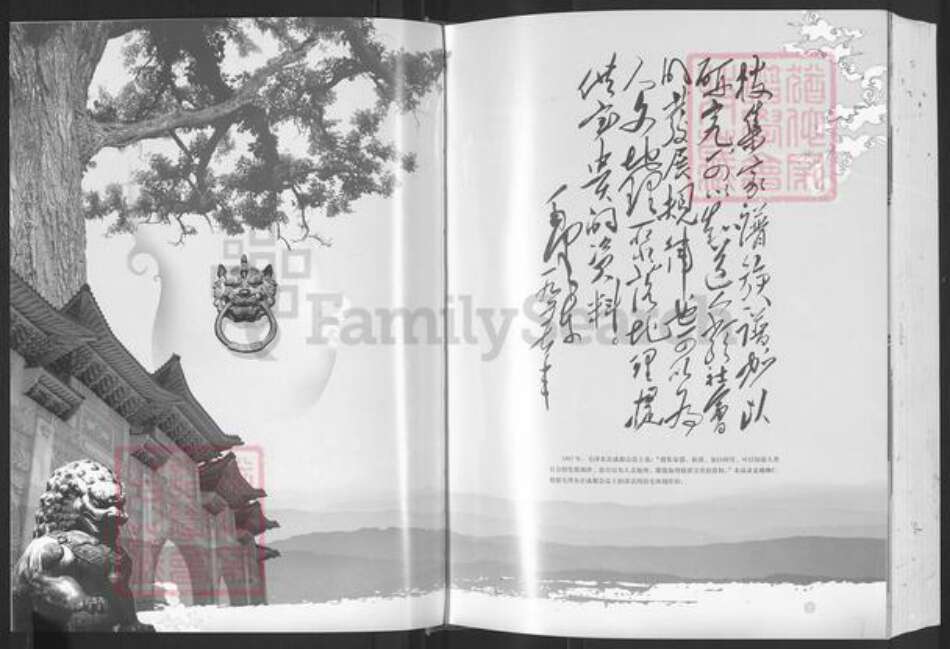 江西省宜春市宜丰县新庄镇姚氏族谱-南昌姚氏族谱.pdf电子版预览图2