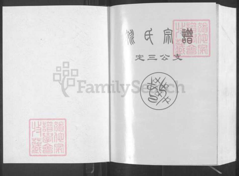 湖北省武汉市新洲区姚氏清俭堂族谱-姚氏宗谱.定三公支.pdf电子版预览图1