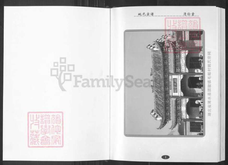 湖北省武汉市新洲区姚氏清俭堂族谱-姚氏宗谱.pdf电子版预览图1