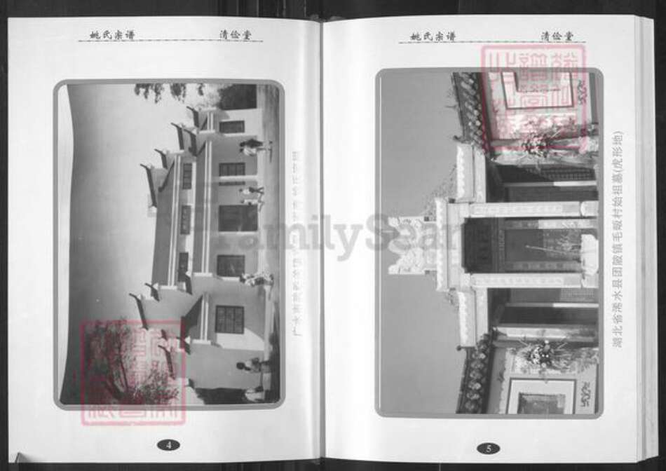 湖北省武汉市新洲区姚氏清俭堂族谱-姚氏宗谱.pdf电子版预览图3