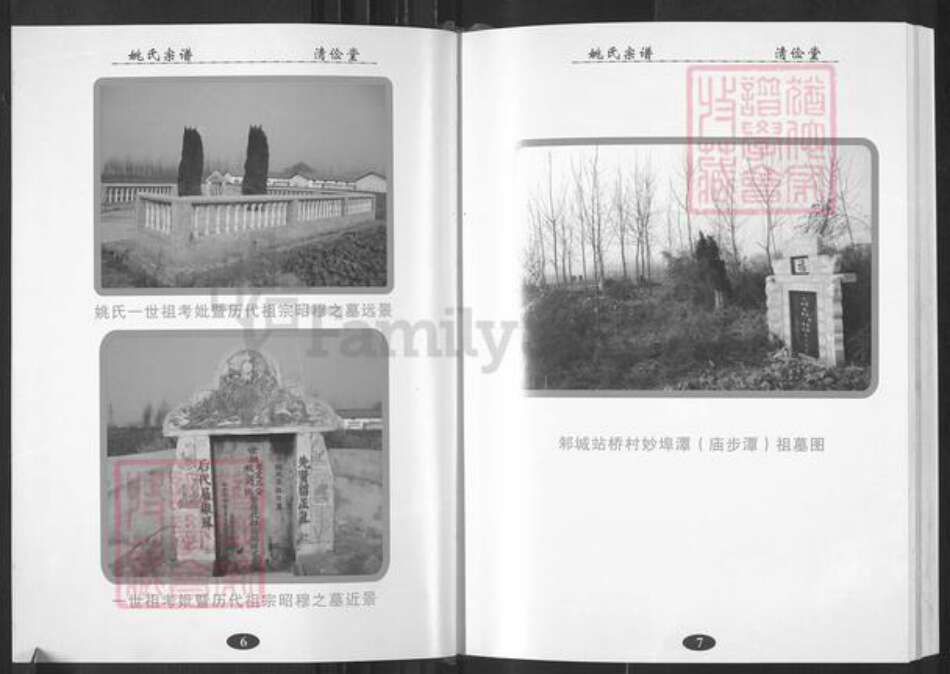 湖北省武汉市新洲区姚氏清俭堂族谱-姚氏宗谱.pdf电子版预览图4