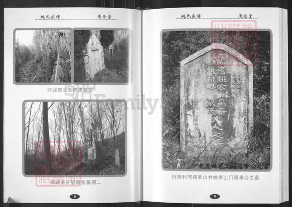 湖北省武汉市新洲区姚氏清俭堂族谱-姚氏宗谱.pdf电子版预览图5