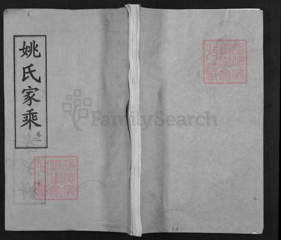 湖北省武汉市新洲区姚氏敦本堂族谱-姚氏家乘.pdf电子版缩略图