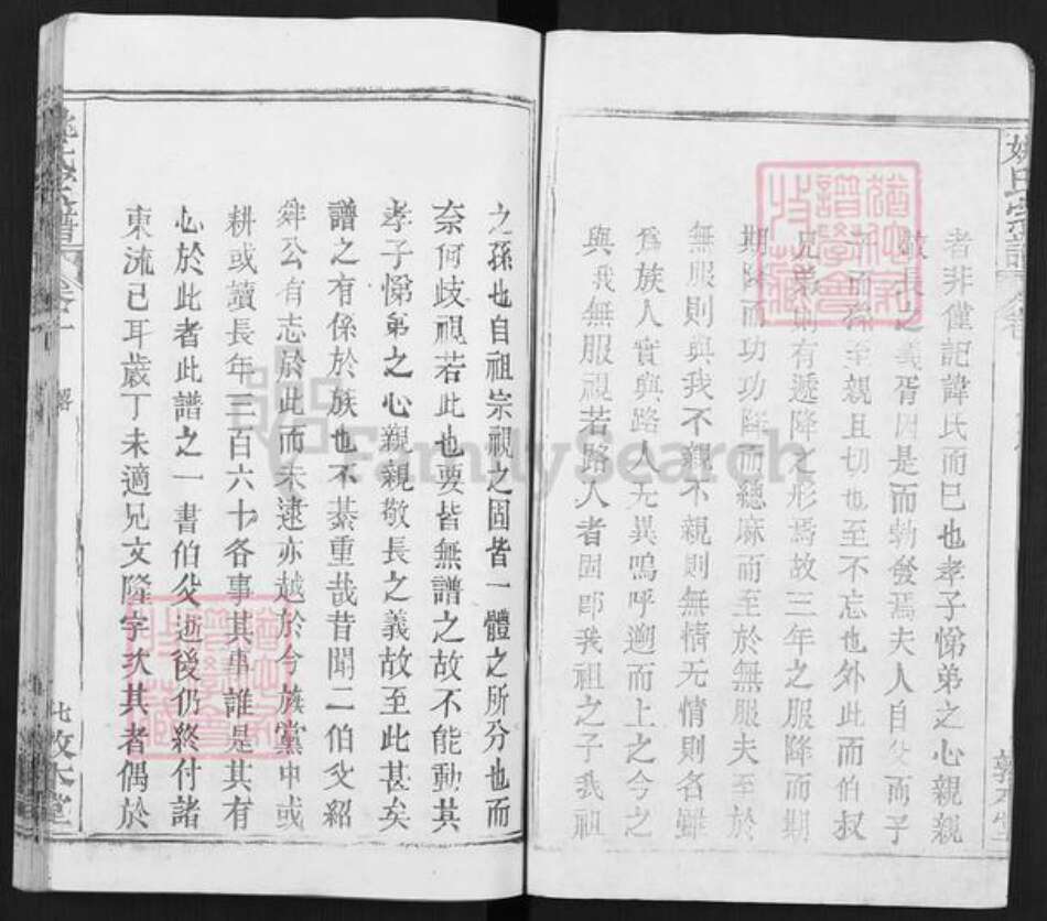 湖北省武汉市新洲区姚氏敦本堂族谱-姚氏家乘.pdf电子版预览图2