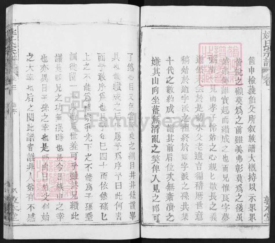 湖北省武汉市新洲区姚氏敦本堂族谱-姚氏家乘.pdf电子版预览图3