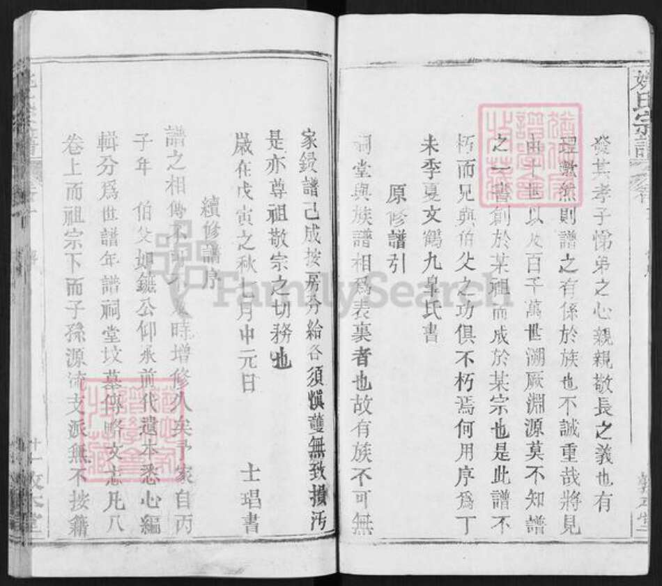 湖北省武汉市新洲区姚氏敦本堂族谱-姚氏家乘.pdf电子版预览图4