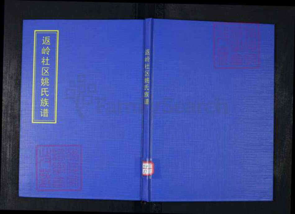 山东省青岛市崂山区姚氏族谱-返岭社区姚氏族谱.pdf电子版缩略图