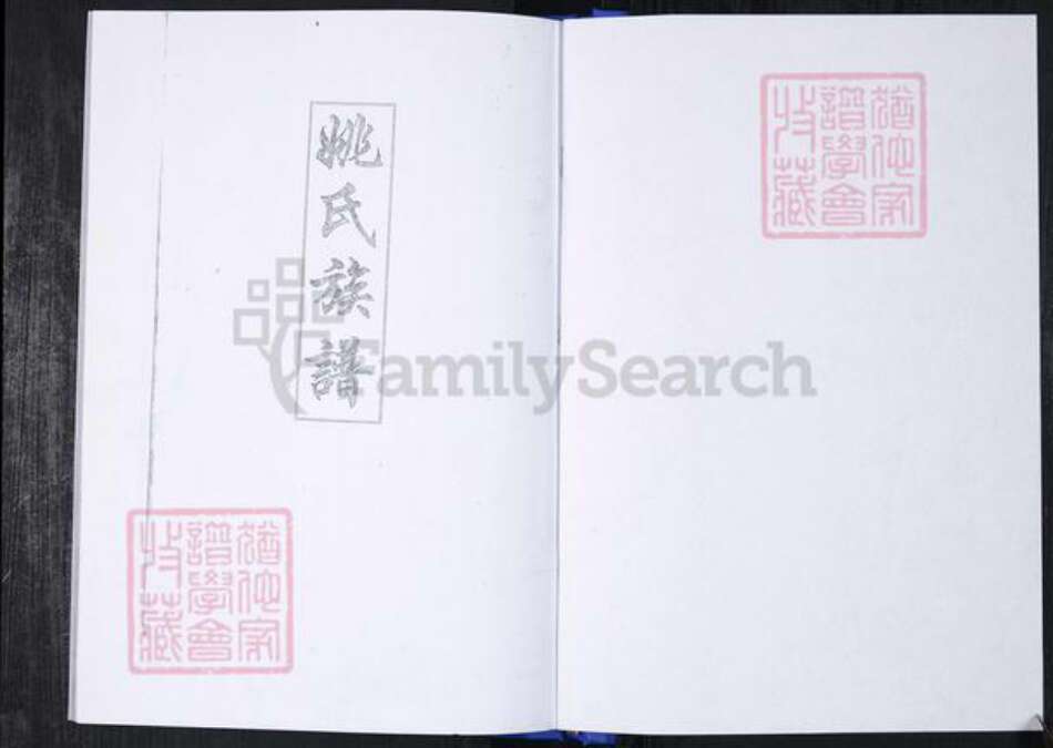 山东省青岛市崂山区姚氏族谱-返岭社区姚氏族谱.pdf电子版预览图1