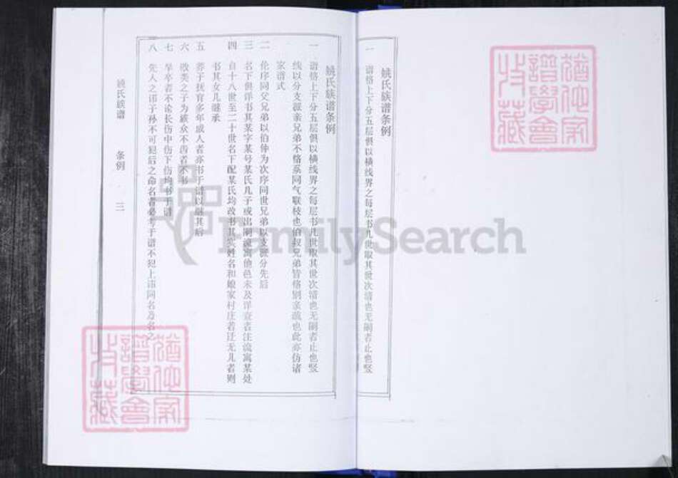 山东省青岛市崂山区姚氏族谱-返岭社区姚氏族谱.pdf电子版预览图4