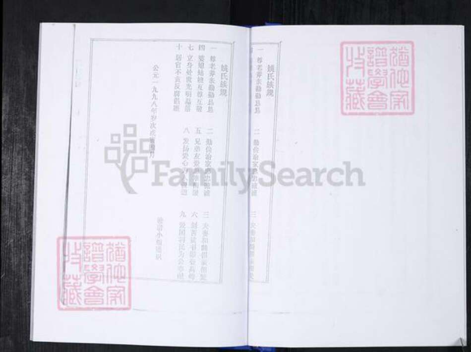 山东省青岛市崂山区姚氏族谱-返岭社区姚氏族谱.pdf电子版预览图5