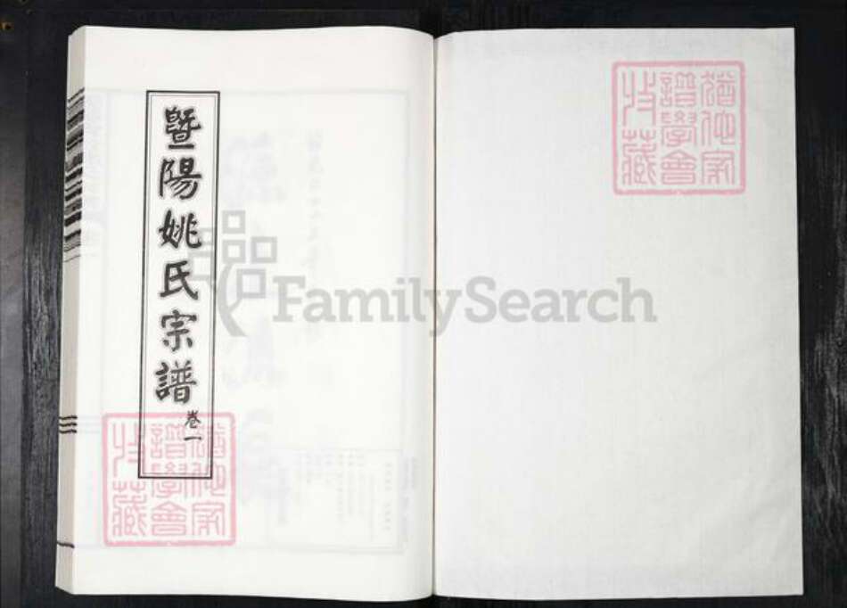 浙江省绍兴诸暨市店口镇姚氏知敬堂族谱-暨阳紫岩姚氏宗谱.pdf电子版预览图1