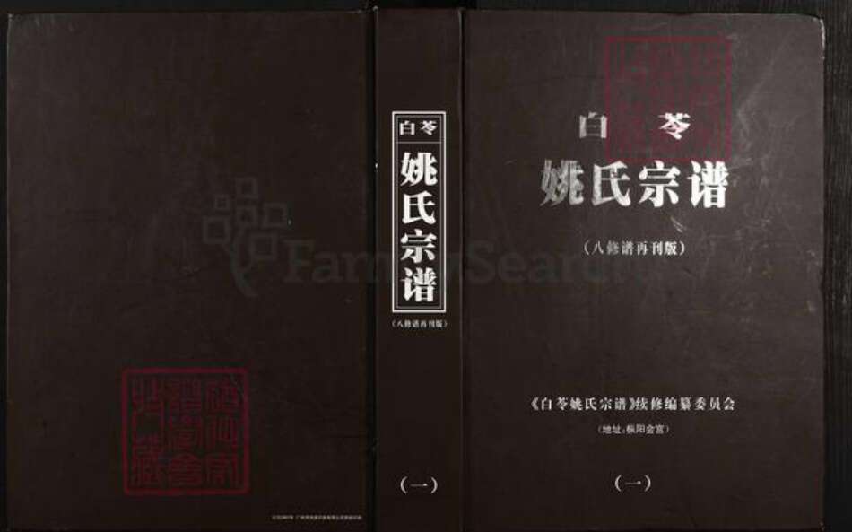 安徽省铜陵市枞阳县会宫镇姚氏族谱-白苓姚氏宗谱(八修谱再刊版).pdf电子版缩略图