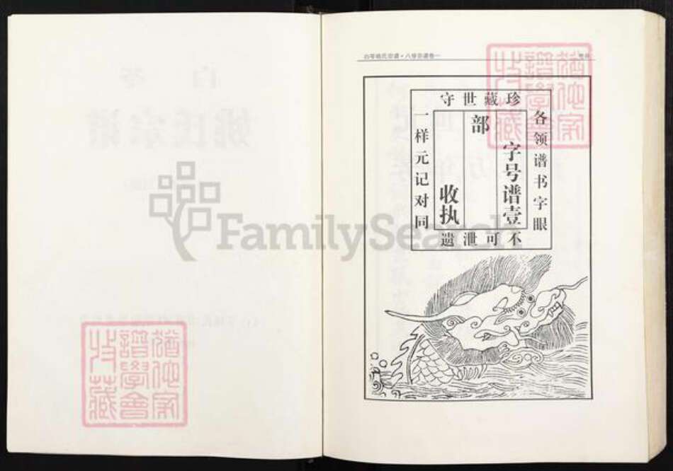 安徽省铜陵市枞阳县会宫镇姚氏族谱-白苓姚氏宗谱(八修谱再刊版).pdf电子版预览图2