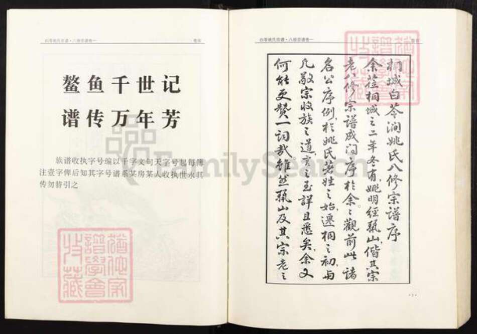 安徽省铜陵市枞阳县会宫镇姚氏族谱-白苓姚氏宗谱(八修谱再刊版).pdf电子版预览图3