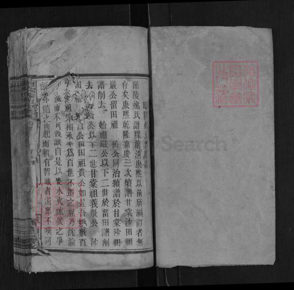 湖南省邵阳市武冈市武冈姚氏族谱-昭陵姚氏房谱.pdf电子版预览图1