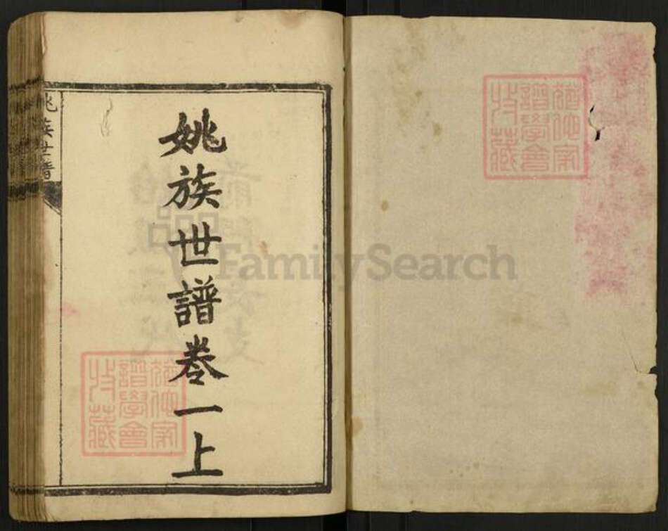 山东省菏泽市巨野县姚氏族谱-姚族世谱.pdf电子版预览图1