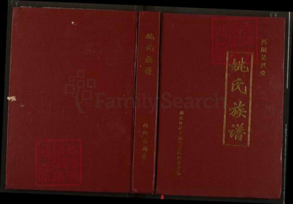 湖北省仙桃市郭河镇姚氏吴兴堂族谱-姚氏族谱.pdf电子版缩略图