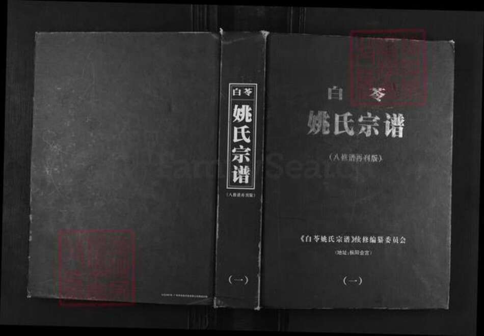 安徽省铜陵市枞阳县会宫镇姚氏族谱-白苓姚氏宗谱.pdf电子版缩略图