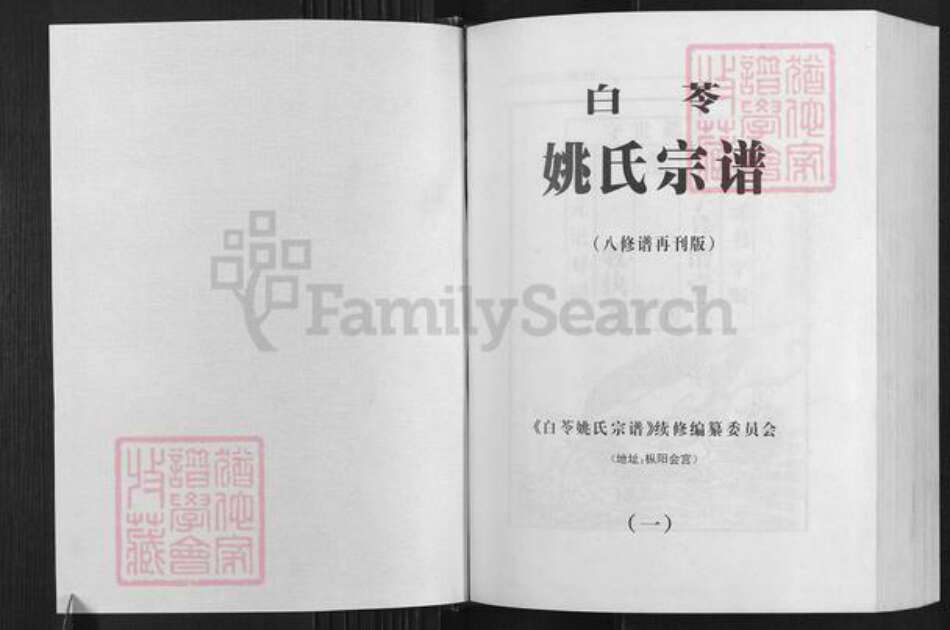 安徽省铜陵市枞阳县会宫镇姚氏族谱-白苓姚氏宗谱.pdf电子版预览图1