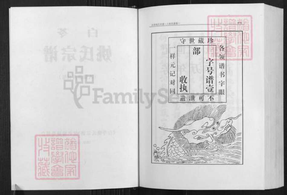 安徽省铜陵市枞阳县会宫镇姚氏族谱-白苓姚氏宗谱.pdf电子版预览图2