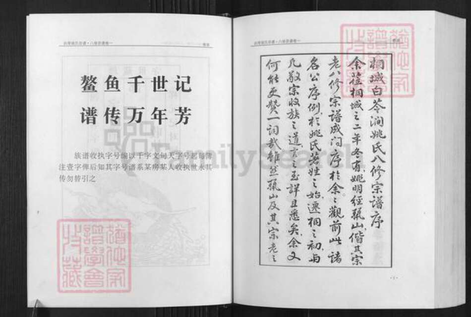 安徽省铜陵市枞阳县会宫镇姚氏族谱-白苓姚氏宗谱.pdf电子版预览图3