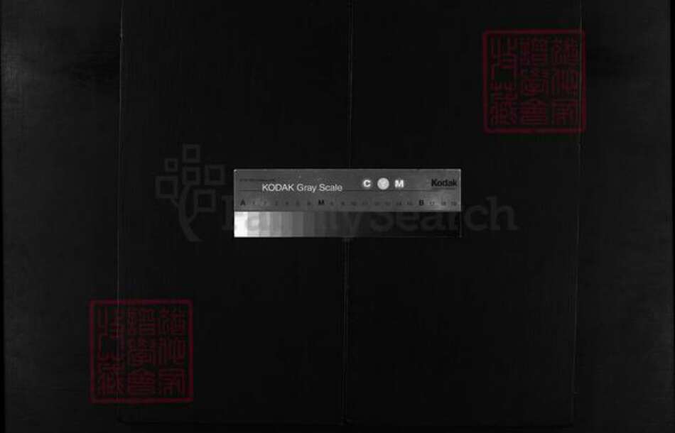 浙江省姚氏族谱-兰谿东姚家谱 [残卷].pdf电子版缩略图