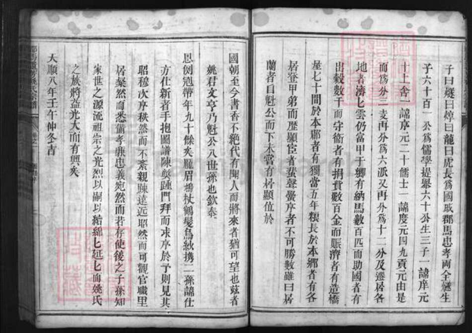 浙江省姚氏族谱-兰谿东姚家谱 [残卷].pdf电子版预览图4