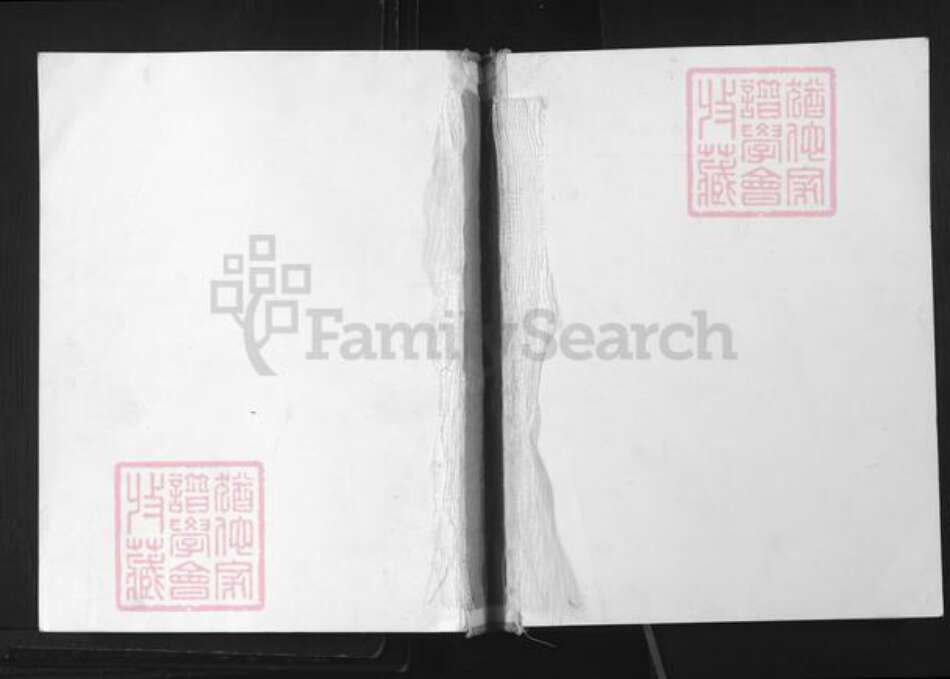 贵州省铜仁市铜仁市姚氏重华堂族谱-姚氏族谱.pdf电子版缩略图