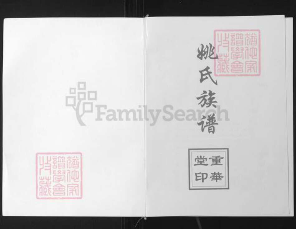 贵州省铜仁市铜仁市姚氏重华堂族谱-姚氏族谱.pdf电子版预览图1