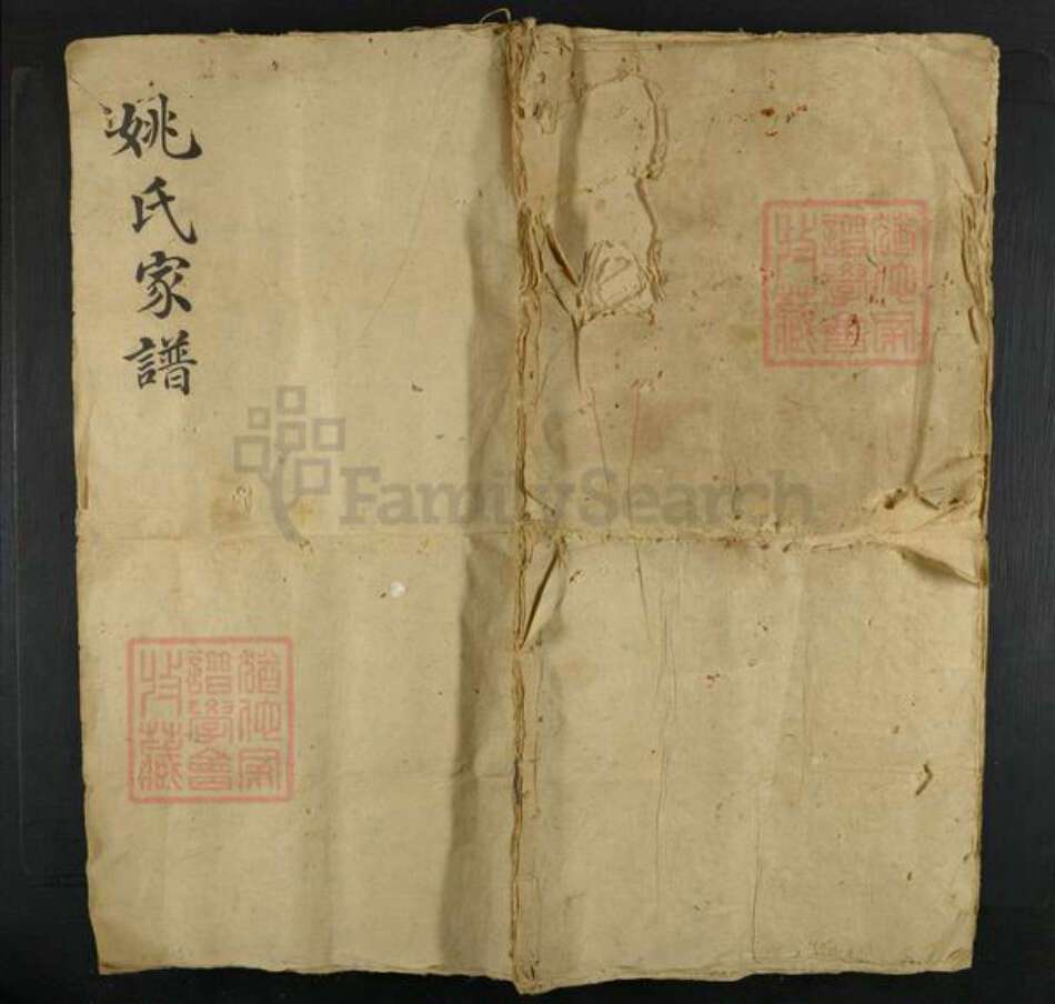 河北省邯郸市姚氏族谱-姚氏家谱.pdf电子版缩略图