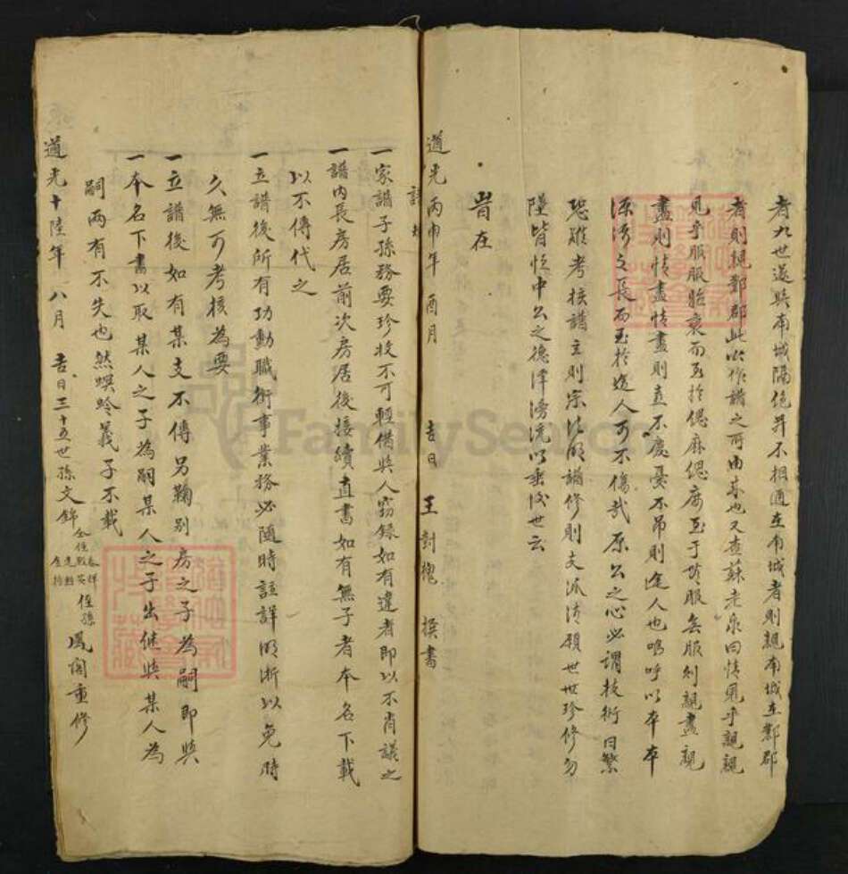 河北省邯郸市姚氏族谱-姚氏家谱.pdf电子版预览图2