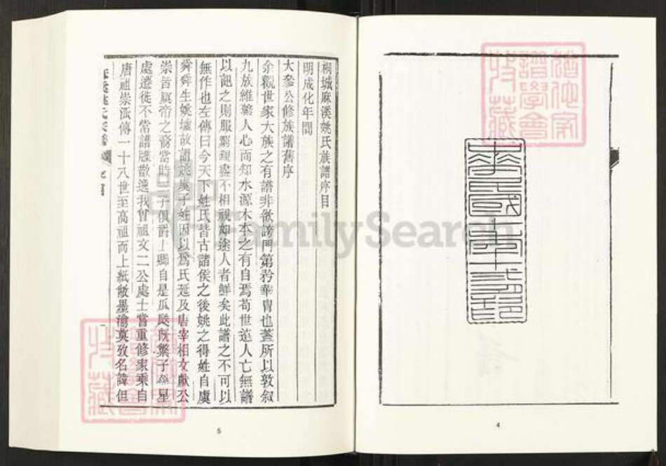 安徽省安庆市桐城市姚氏族谱-清代民国名人家谱选刊续编.第52~56册.桐城麻溪姚氏宗谱.pdf电子版预览图4