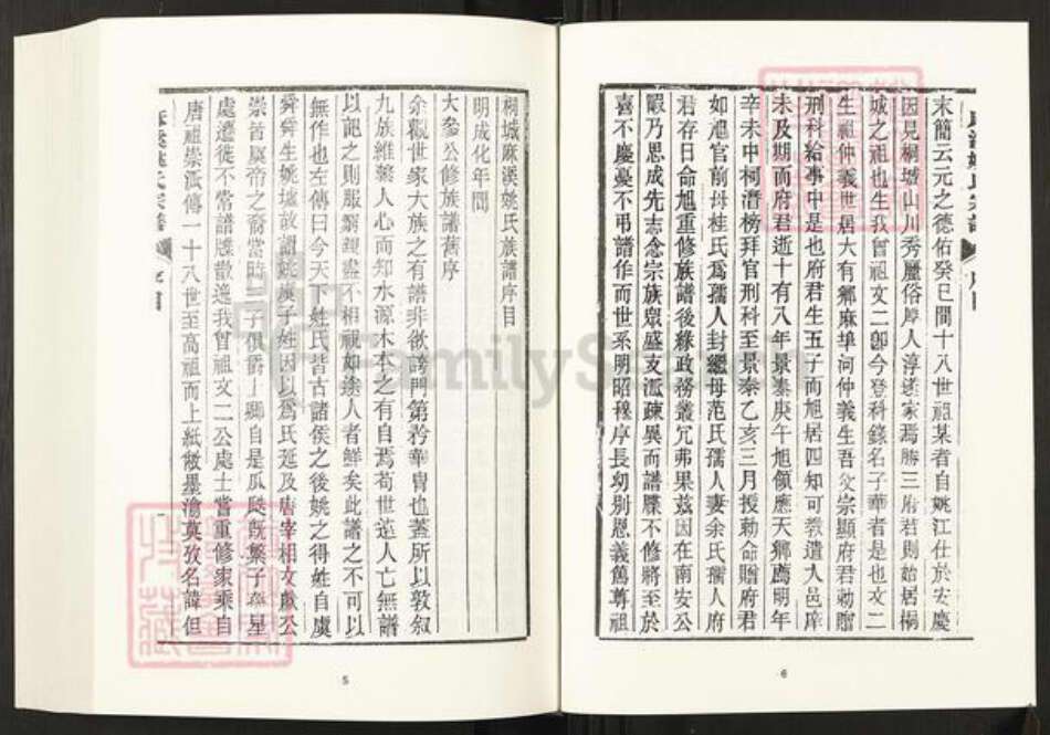 安徽省安庆市桐城市姚氏族谱-清代民国名人家谱选刊续编.第52~56册.桐城麻溪姚氏宗谱.pdf电子版预览图5